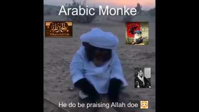 Paise Allah