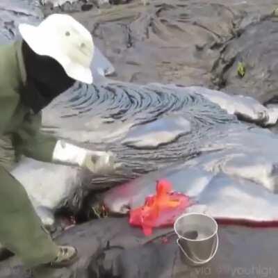 Man harvesting lava.