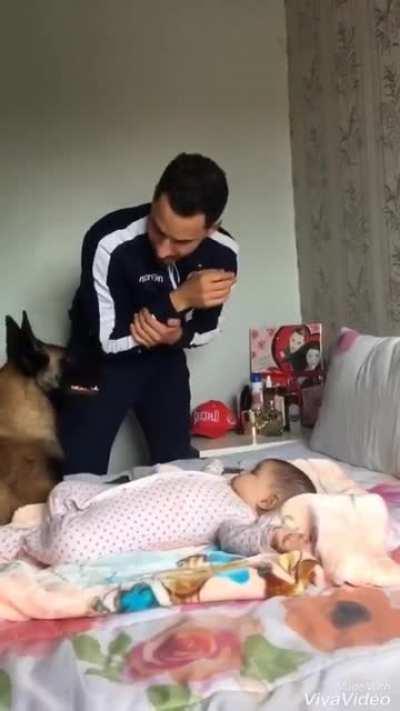 Doggo trying to protect the baby from its owner while at the same time trying hard to not hurt his owner