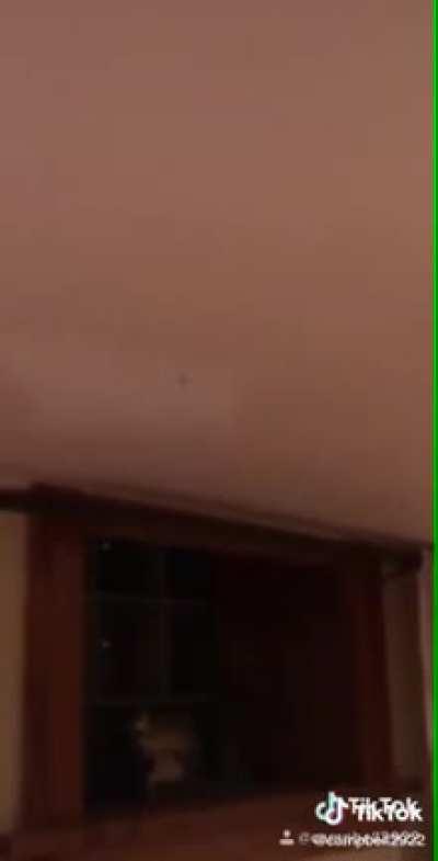 Guy kills a bug on the ceiling with a blow dart