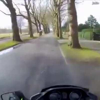 motorcyclist helps horseback rider catch runaway steed