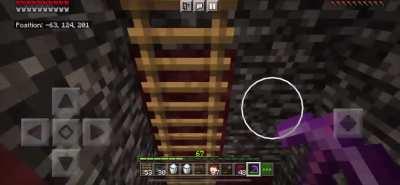 For anyone who wants access to the nether roof lol