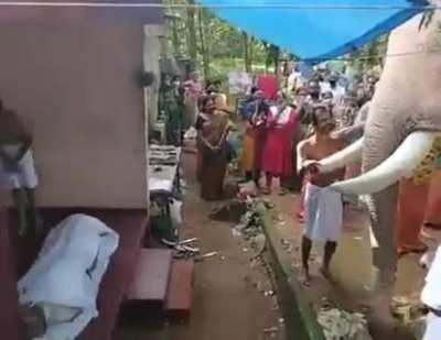 Elephant named Pallat Brahmadathan paying last respects to his master as locals watched with teary eyes!