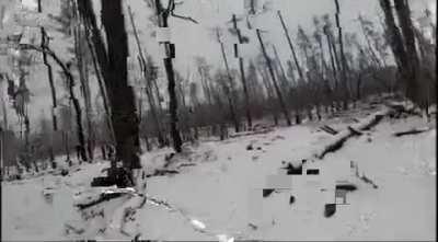 12 BrSP - Ukrainian soldiers mopping up and shooting in Kremin forest, Luhansk region. [Longer version]