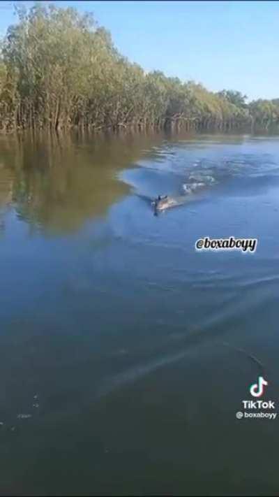 Fishing in Alligator infested waters