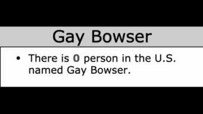 The Return of Gay Bowser  