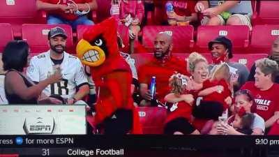 Get acquainted with Louie the Cardinal in Louisville, KY - LOUtoday