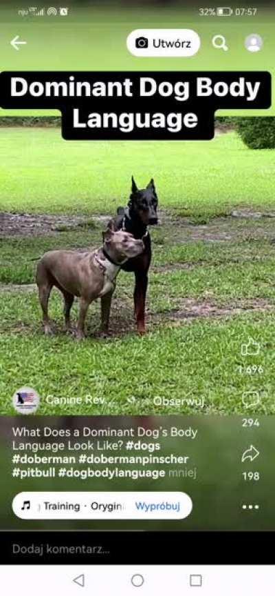 This Doberman knows what's up. Trying not to make any sudden movements so not to provoke a mauling from a beast with behavior that abnormally domimant for a dog.