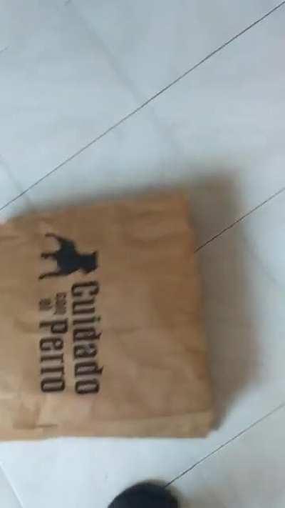 Paper bag says &quot;Beware of dog&quot;