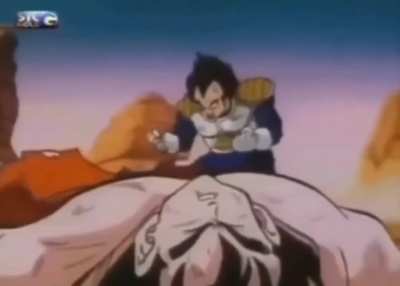 why did vegeta do this, is he stupid?