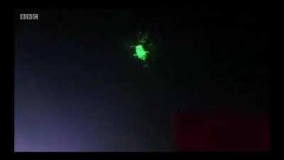 Egyptian protesters light up military helicopters with thousands of laser pens