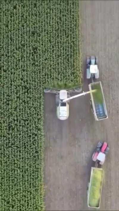 Smooth harvest operation