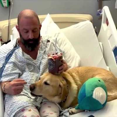 This man was hospitalized and his dog was supporting him at all times