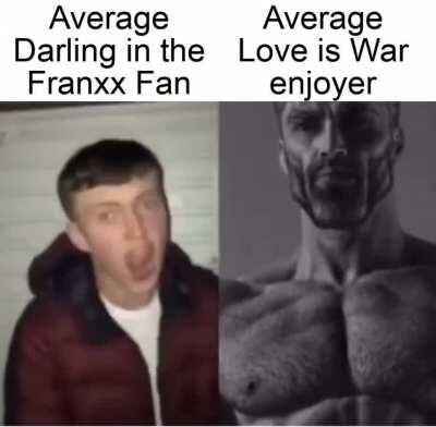 Average fan vs Average enjoyer