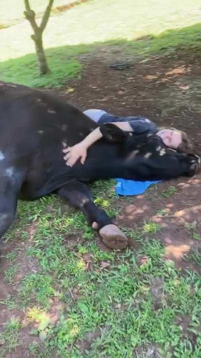 Laying down a towel and giving a hug