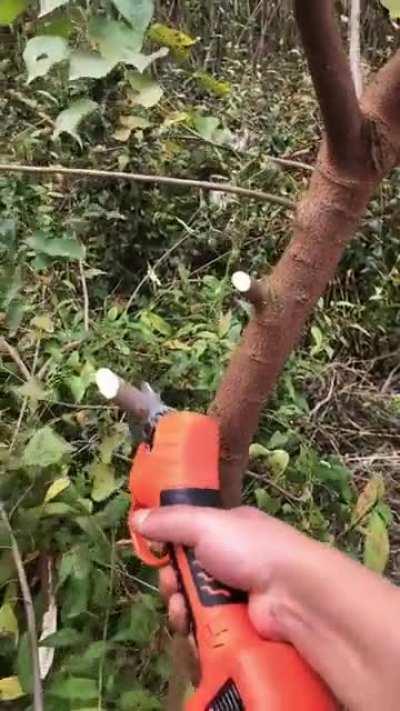 This branch cutting tool