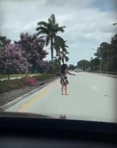 This Person Helping A Duck and Her Ducklings Cross a Busy Street