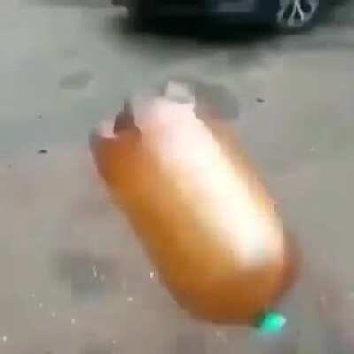 Cursed_dog.mp4