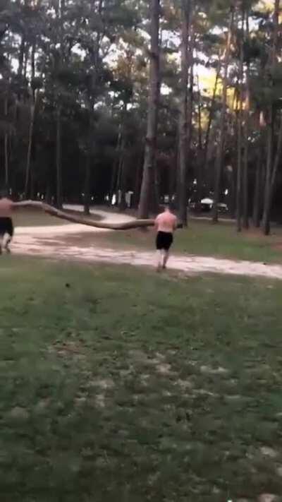 Trying to break a branch the size off a tree in half