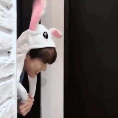 Doyoung bunny 🐰