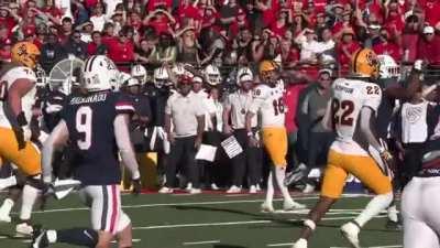 The Arizona State Sun Devils and Arizona Wildcats mascots throw fists at each other while Arizona State's football team scores in the background