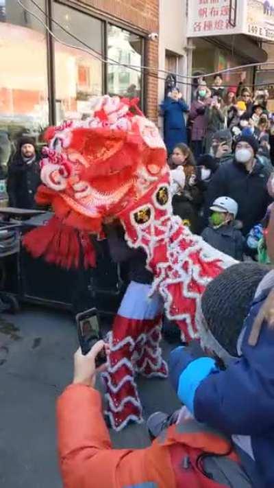 Mini lion in NYC Chinatown