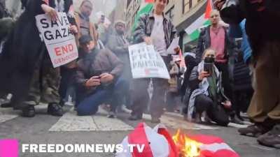 Pro-Palestine Protesters Burn American flag chanting &quot;Genocide Joe! Has got to go!&quot; during dueling rallies outside of AIPAC headquarters in NYC. I thought it was against Zionism why would they burn the American flag?