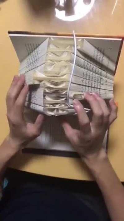 How This Book Is Folded. [Thanks to u/The_Love-Tap]