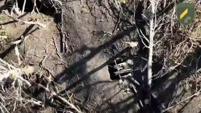 Brutal footage: Ukrainian 92nd Assault Brigade's 4th Battalion UAV team used drone dropped ammunition to hit Russian infantry, landing several accurate strikes including a headshot. Lypzi area (Kharkiv region), September 2024.