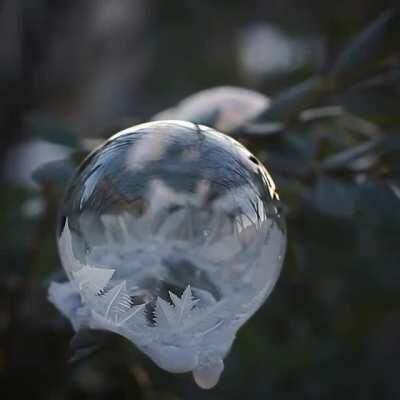 Soap bubble freezing in real time