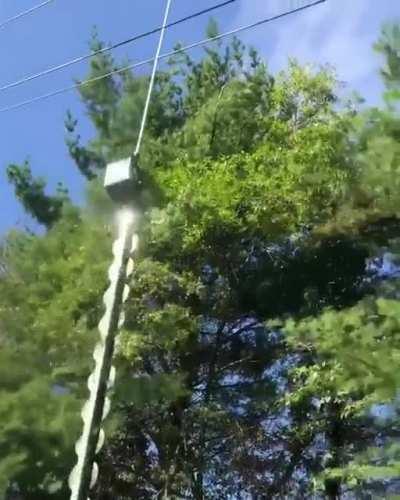 Tree trimming with precision using a Chopper