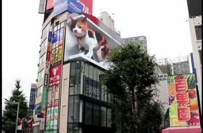 3D Digital billboard with 4K display Shinjuku station, Tokyo. We truly live in an age of miracles and wonder!