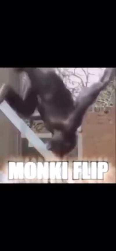 Watch Monke Flip