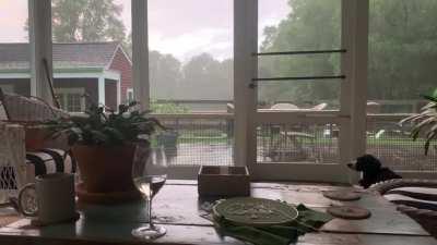 Enjoying an evening rainstorm on the porch with Penny