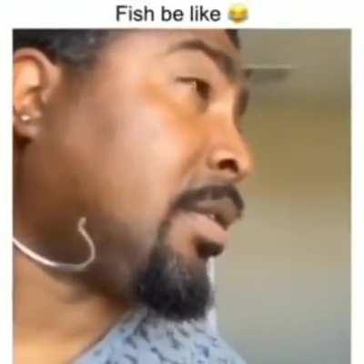 Fish be like