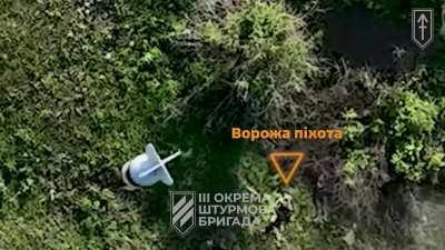 The 3rd Assault Brigade published a compilation of drone dropped grenade strikes on Russian personnel, Kharkiv direction