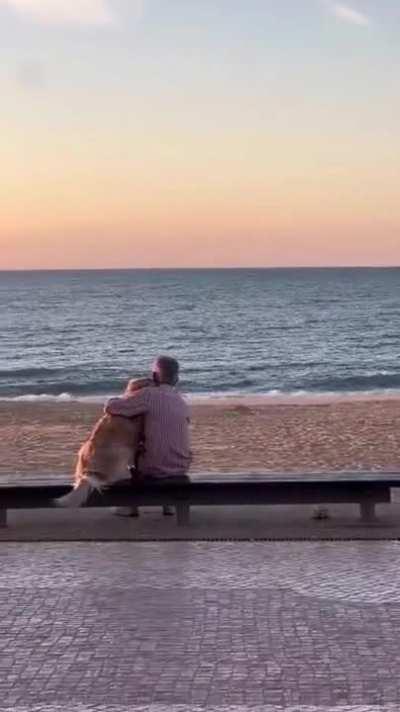 Old man watching sunset with his dog