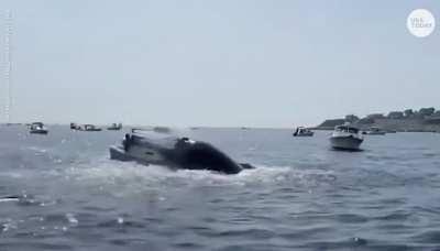 Breaching whale lands on top of boat in Massachusetts.