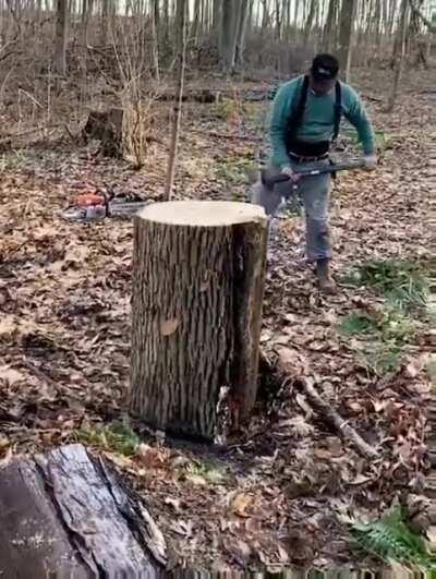 Showing impressive strength to split the log