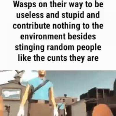 Wasp moment