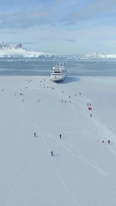 Early in the Antarctic spring, when the winter sea ice begins to break up, captains can undertake a maneuver called garaging. It involves driving straight into the ice at speed, allowing the ship to slowly grind to a halt, and guests get to descend to wal