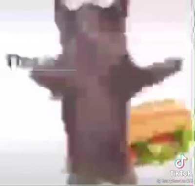 Epic cat dancing lol XD