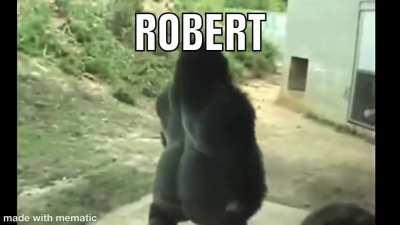 guys it robert 😳😳🥵😎😎👍