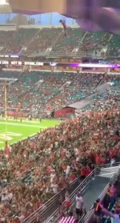 Miami fans save cat from falling of upper deck.