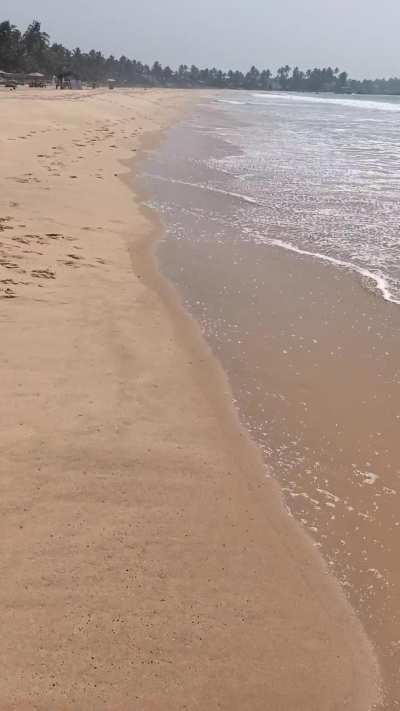 Pee spotting on a public beach is a must u/froilen08