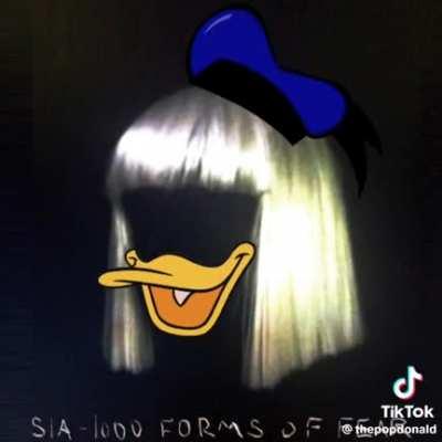 Donald duck 🦆AI singing Sia - chandeleeyee. Pinnacle of AI art.