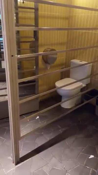 A very revealing toilet