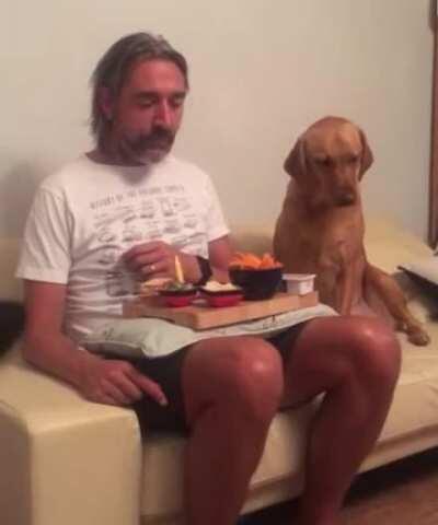 Dog Looks Away When Owner Spots Him Staring at His Dinner (source in comments)