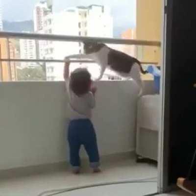 Cat being a good mom