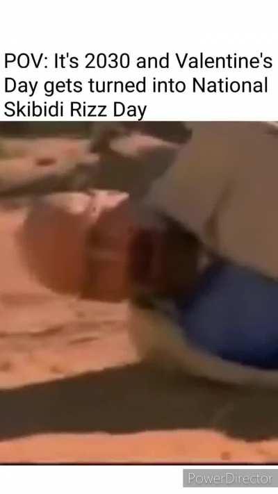 Happy National Skibidi Rizz Day